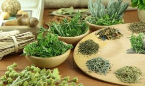 Vận chuyển thảo được từ Ấn Độ về Việt nam