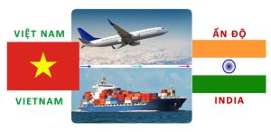 Dịch vụ vận chuyển hàng hoá từ Việt Nam sang Ấn Độ - 2026