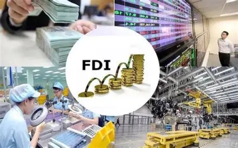 FDI vào Ấn Độ: 5 thay đổi mới mở rộng cánh cửa cho dòng vốn quốc tế