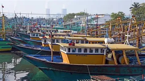 VIỆT NAM ĐỀ XUẤT TĂNG KẾT NỐI HÀNG HẢI TRỰC TIẾP VỚI MIỀN NAM ẤN ĐỘ 1