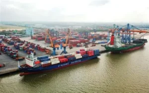 Cước container Ấn Độ tăng 394% từ tháng 2/2026