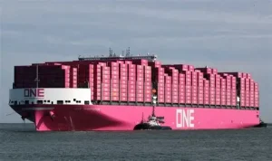 ONE điều tàu 1.000 TEU giải cơn khát container Ấn Độ – Mỹ